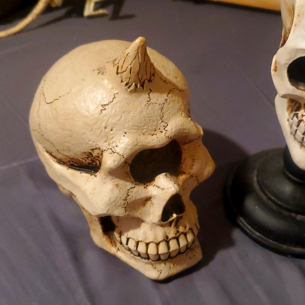 Skull head
